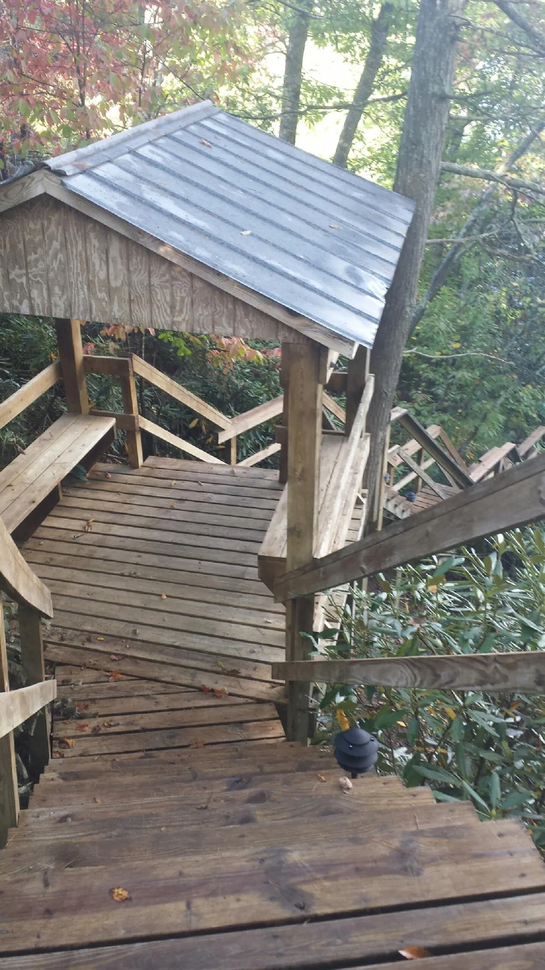 Metal roofed shelter over wooden steps on a wooded walkway — Skylight Repair & Installation work by our crew in Moon